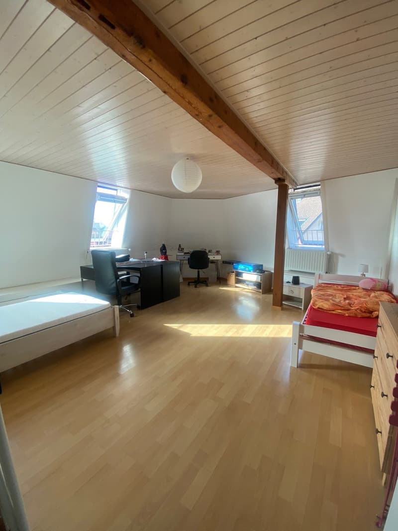 Bex : à louer spacieux appartement de 4.5 pièces au cœur de la ville (7)