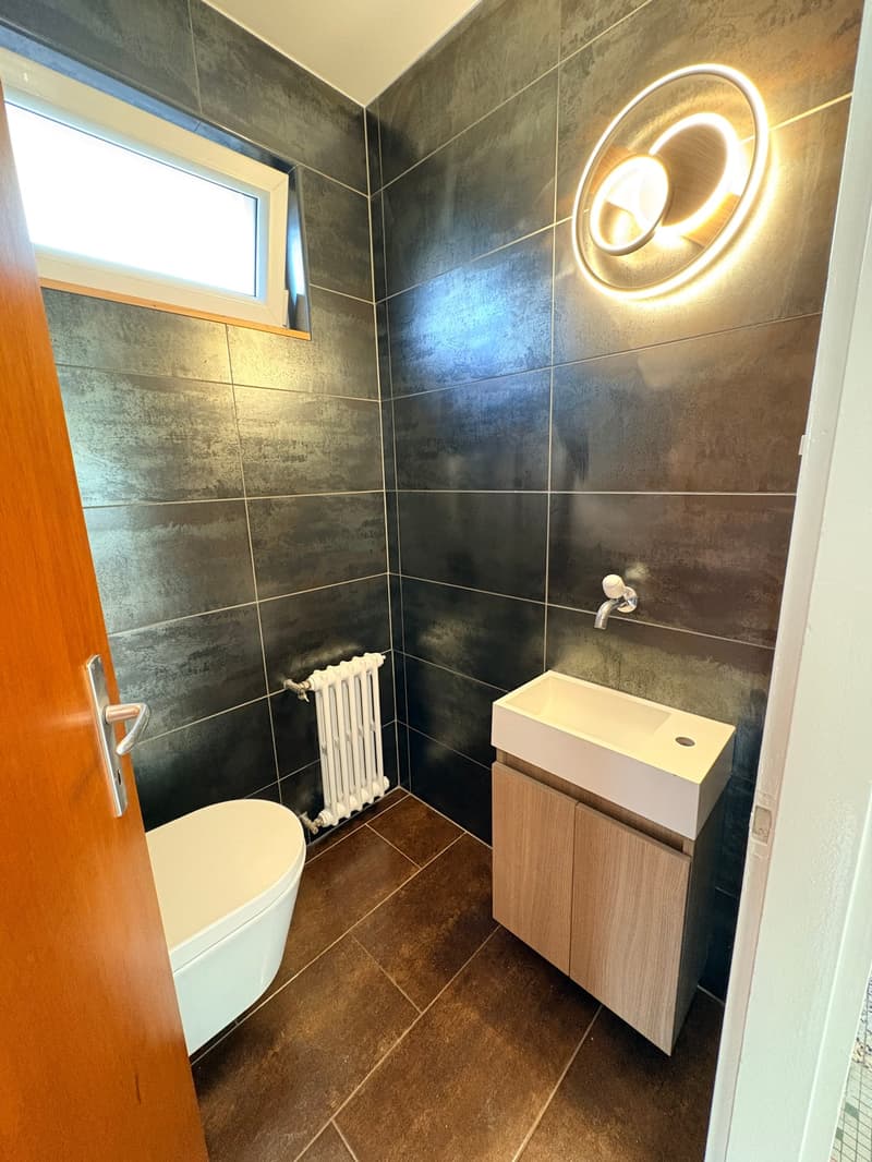 Bex : à louer superbe appartement indépendant de 3.5 pièces avec terrasse (15)