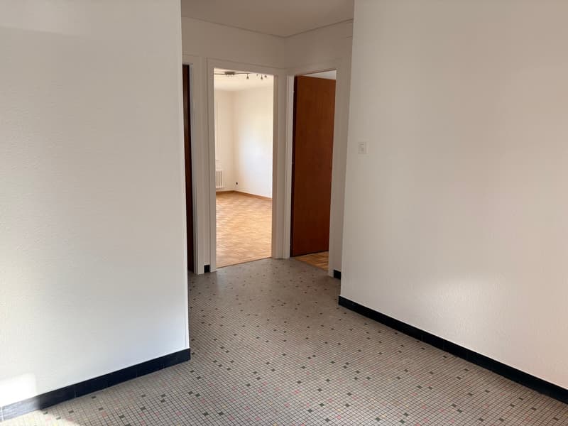 Bex : à louer superbe appartement indépendant de 3.5 pièces avec terrasse (18)