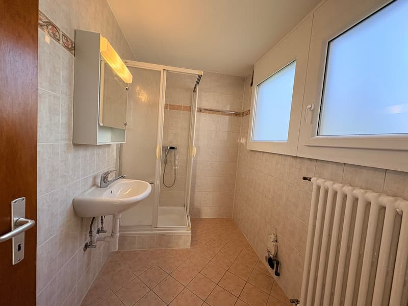 Bex : à louer superbe appartement indépendant de 3.5 pièces avec terrasse (13)