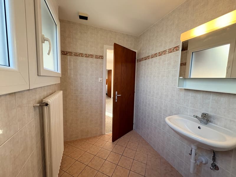 Bex : à louer superbe appartement indépendant de 3.5 pièces avec terrasse (14)