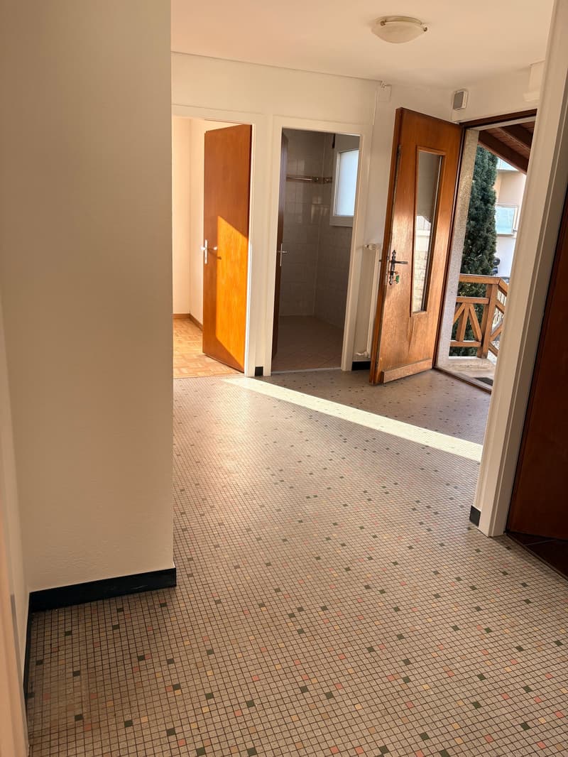 Bex : à louer superbe appartement indépendant de 3.5 pièces avec terrasse (17)
