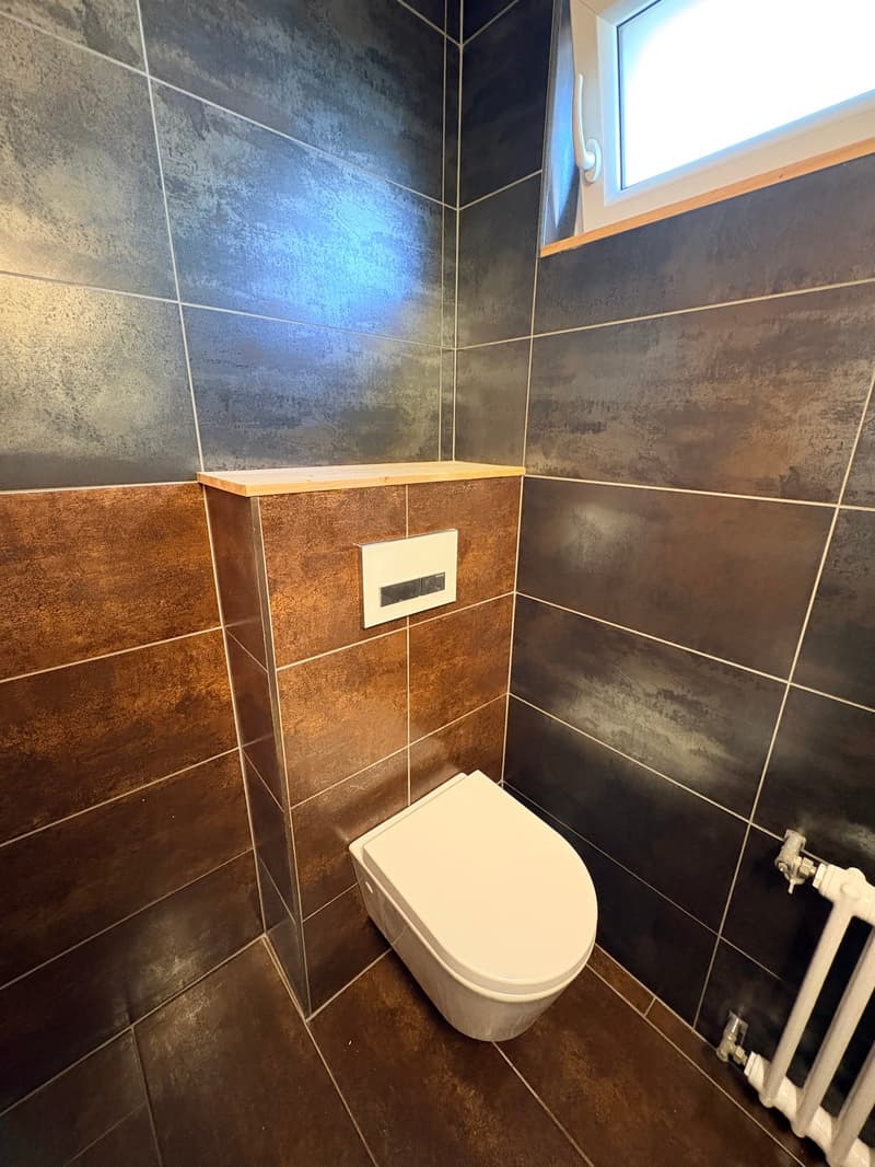 Bex : à louer superbe appartement indépendant de 3.5 pièces avec terrasse (16)
