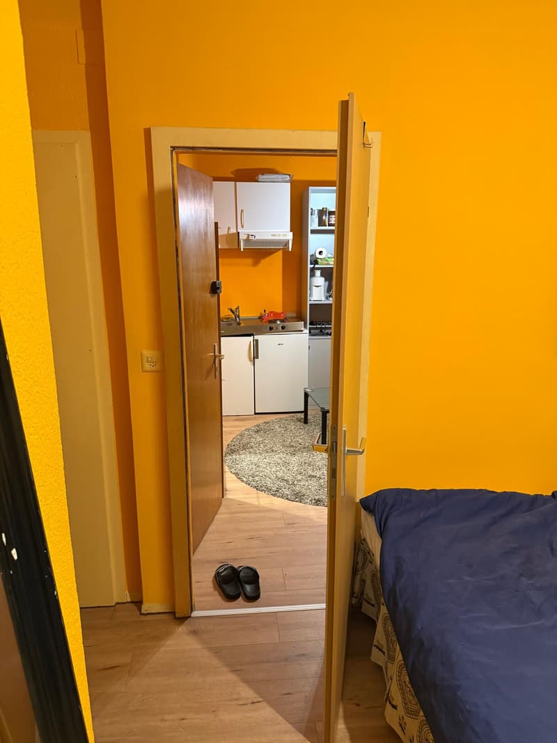 Bex: 2-room apartment in the heart of the city (5)