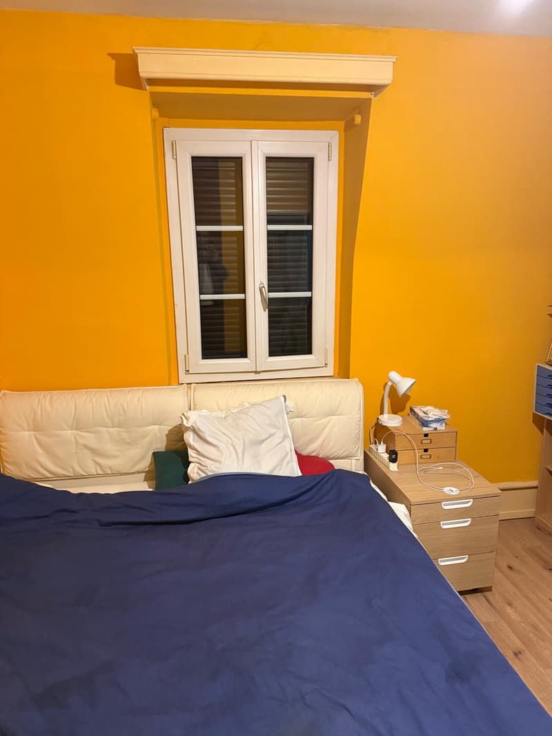 Bex: 2-room apartment in the heart of the city (2)