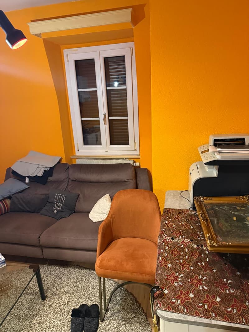 Bex: 2-room apartment in the heart of the city (1)
