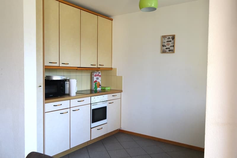 Bex: affittasi delizioso appartamento di 3 locali in un quartiere tranquillo (3)