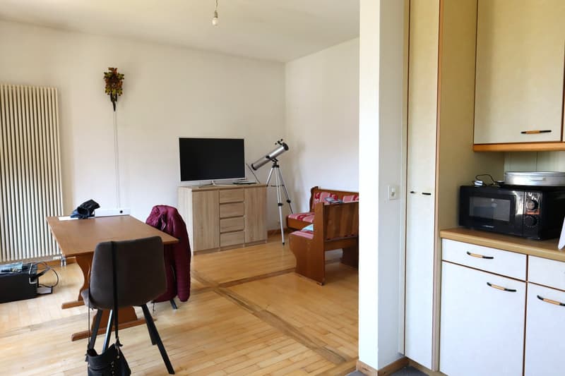 Bex: affittasi delizioso appartamento di 3 locali in un quartiere tranquillo (5)