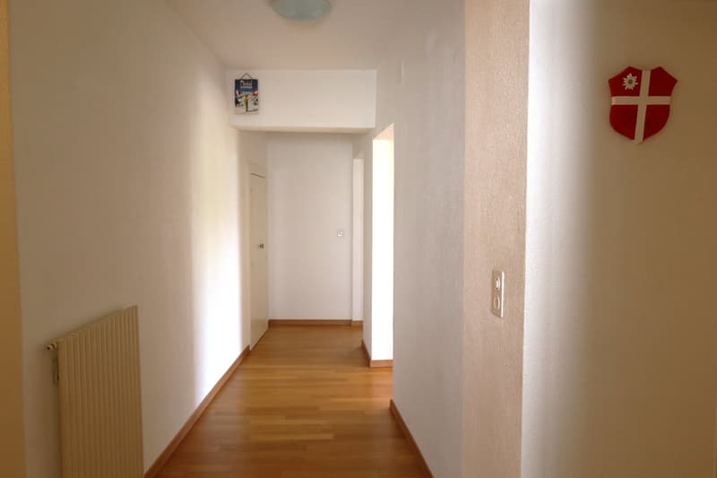 Bex: affittasi delizioso appartamento di 3 locali in un quartiere tranquillo (10)