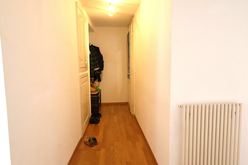 Bex: affittasi delizioso appartamento di 3 locali in un quartiere tranquillo (7)