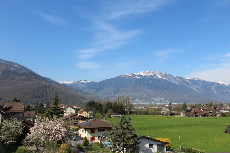 Bex: Affascinante monolocale con vista impareggiabile (5)