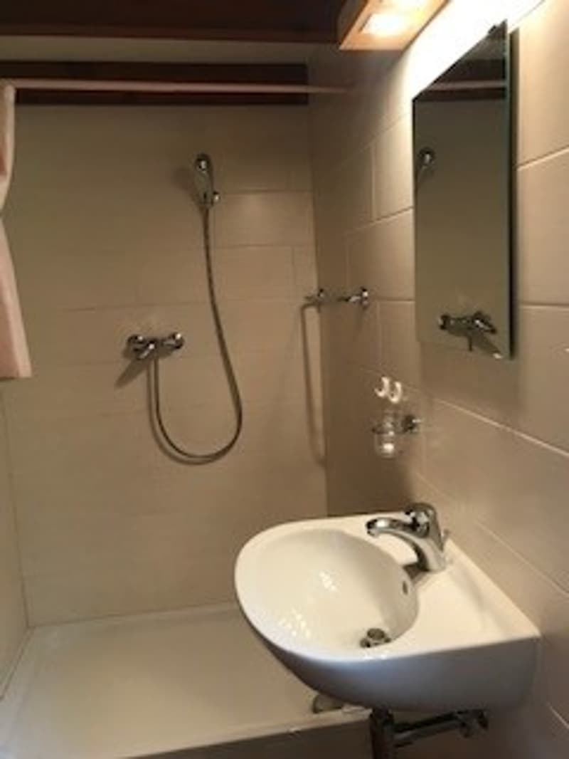 Plans-sur-Bex: chalet storico di 3.5 locali in affitto (12)