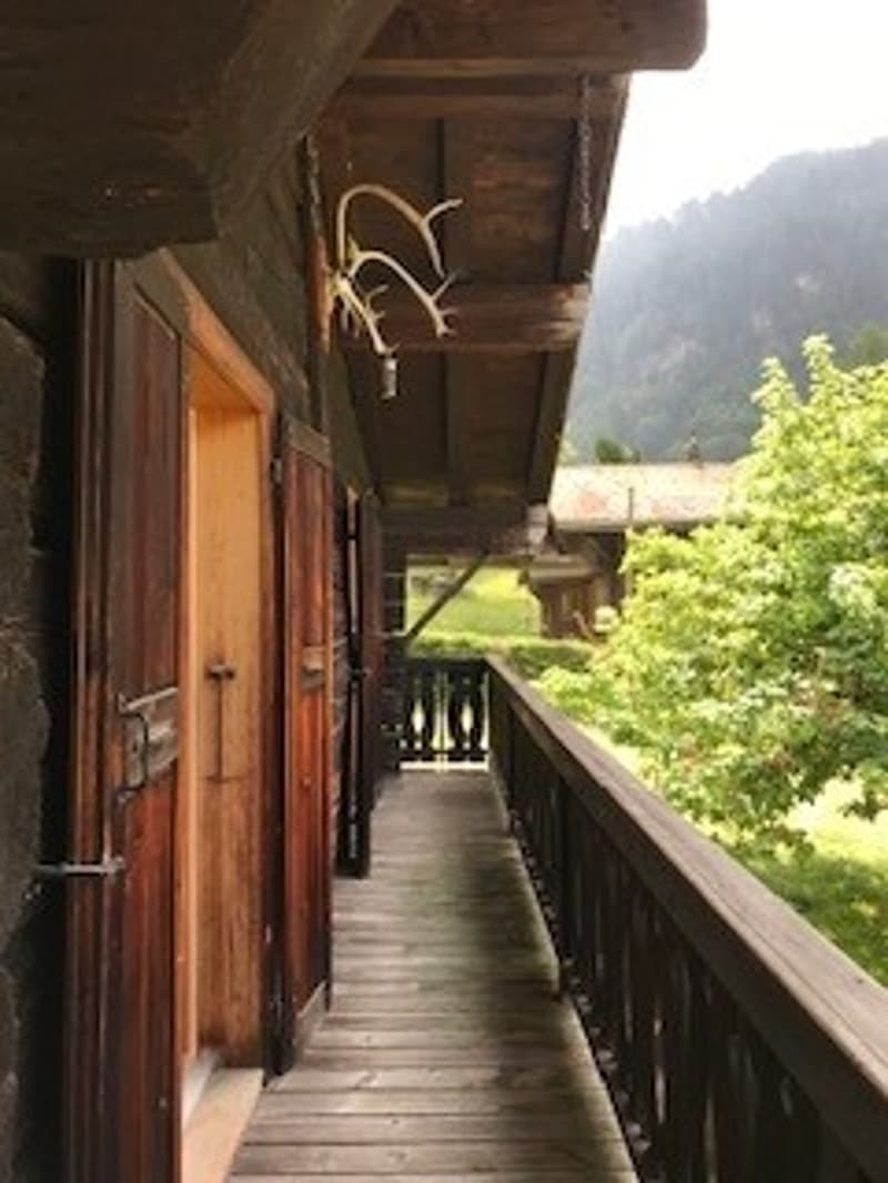 Plans-sur-Bex: chalet storico di 3.5 locali in affitto (2)