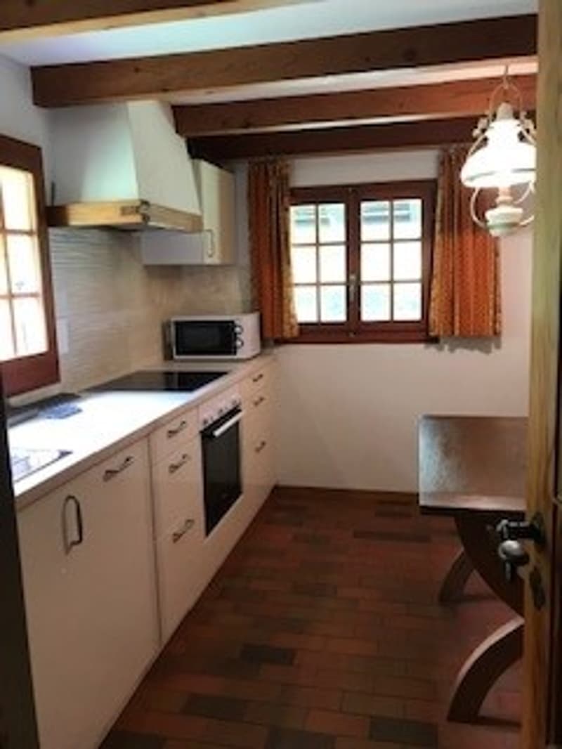 Plans-sur-Bex: chalet storico di 3.5 locali in affitto (6)
