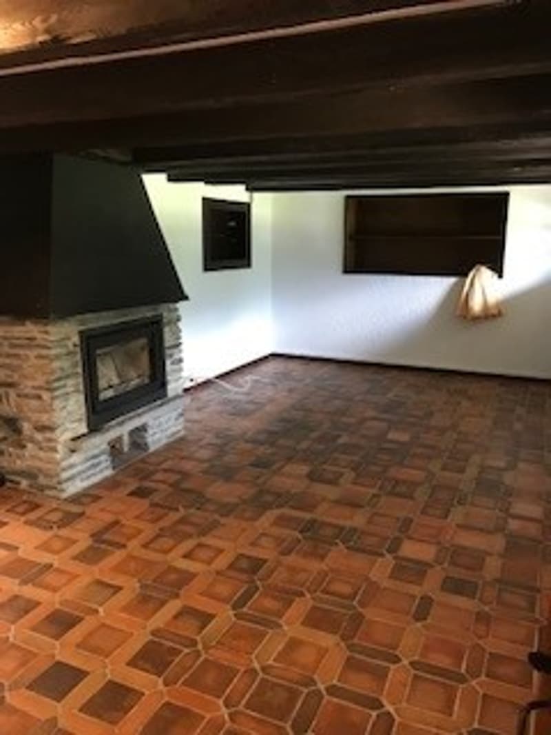 Plans-sur-Bex: chalet storico di 3.5 locali in affitto (3)