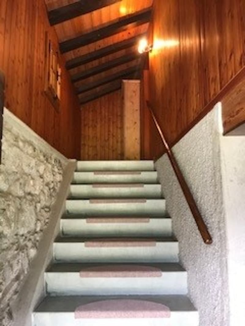 Plans-sur-Bex: chalet storico di 3.5 locali in affitto (7)