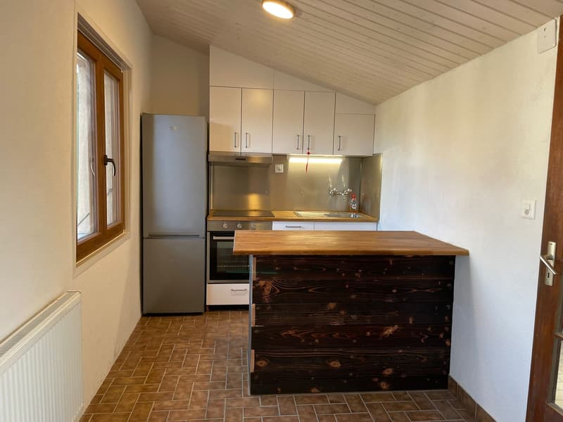Bex : appartement lumineux de 2.5 pièces avec une belle vue (2)