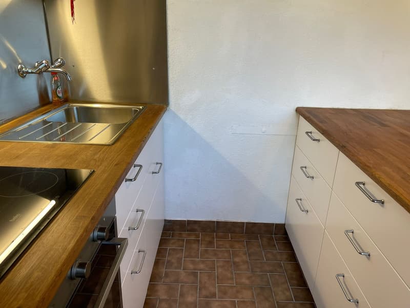 Bex : appartement lumineux de 2.5 pièces avec une belle vue (4)