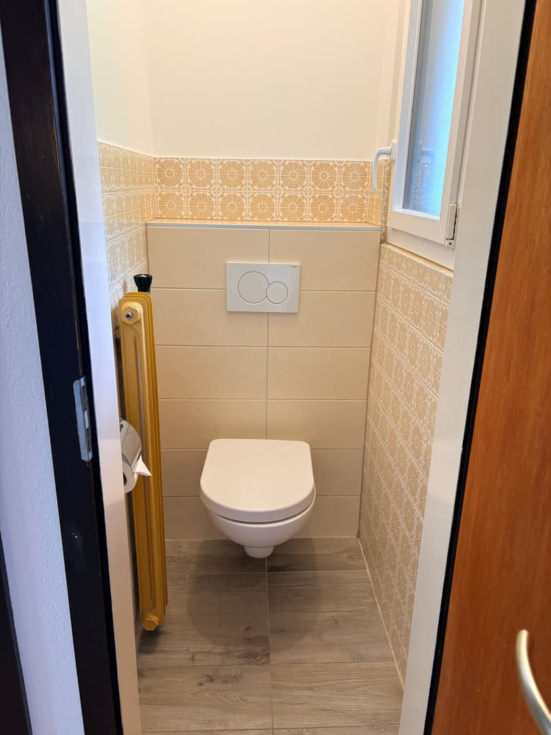 Bex: Affittasi deliziosa casa indipendente di 5.5 locali (6)