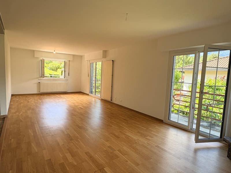 Bex: Affittasi deliziosa casa indipendente di 5.5 locali (10)