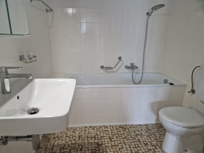 Massongex: helles 2.5-Zimmer-Wohnung mit atemberaubendem Blick zu vermieten (8)