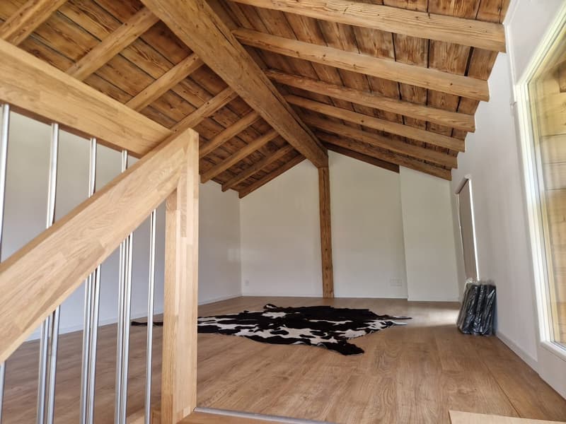 Ollon : appartement à louer (7)