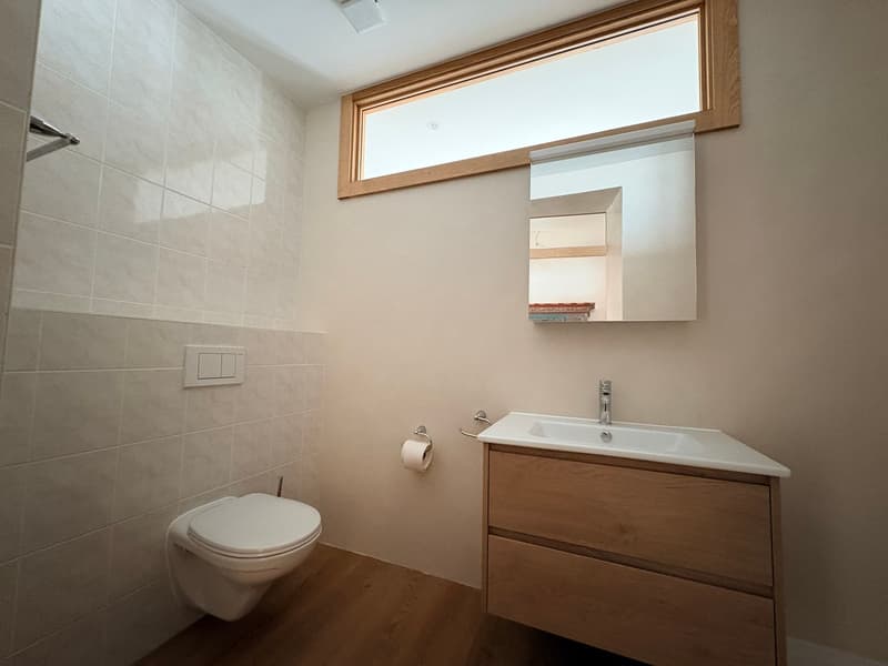 Bex : à louer spacieux appartement historique rénové de 4,5 pièces (11)