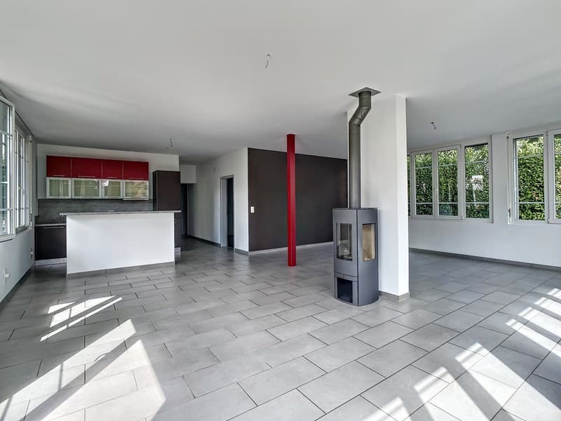 5.5 room apartment with garden (2)