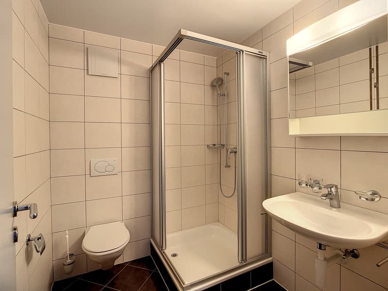 5.5 room apartment with garden (11)
