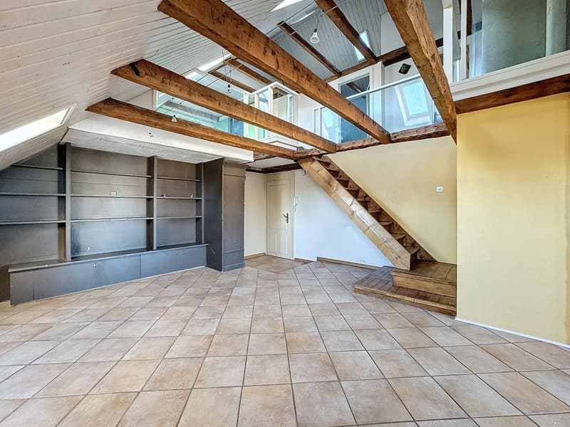 4.5 room duplex apartment (3)