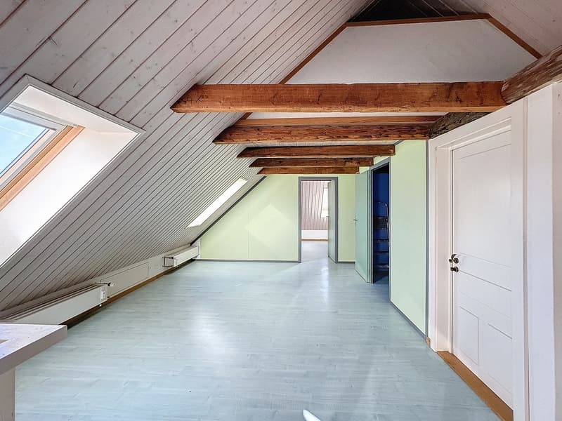 4.5 room duplex apartment (7)