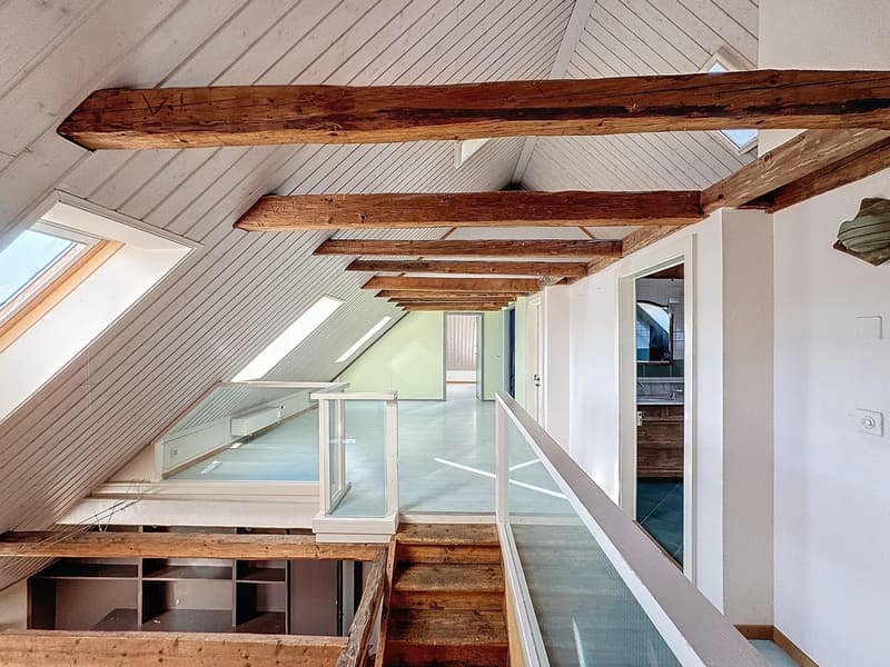 4.5 room duplex apartment (2)