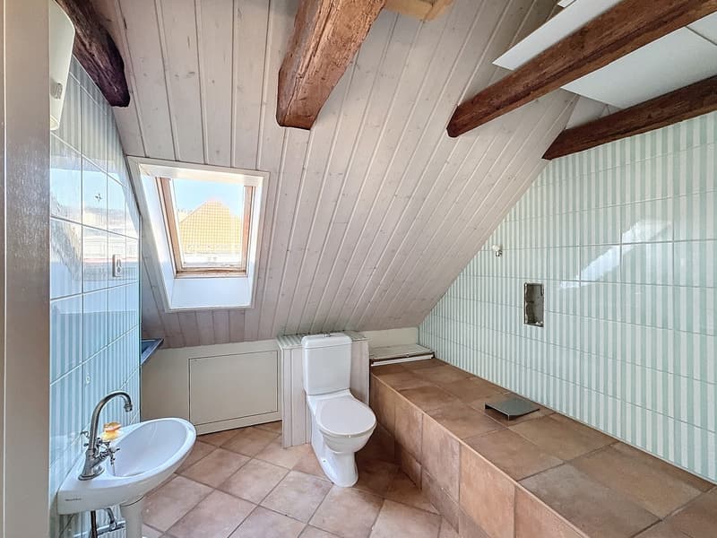 4.5 room duplex apartment (9)