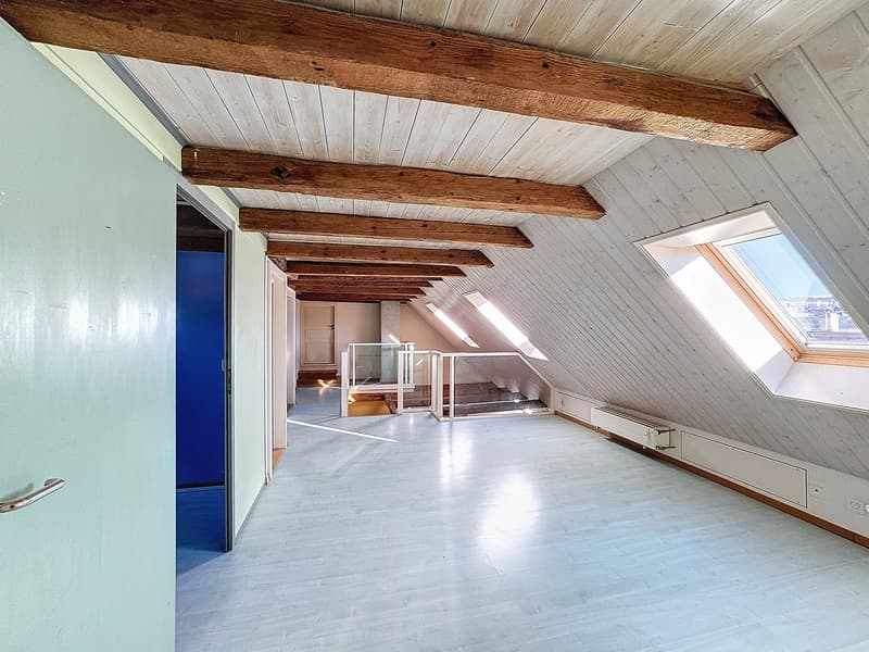 4.5 room duplex apartment (8)
