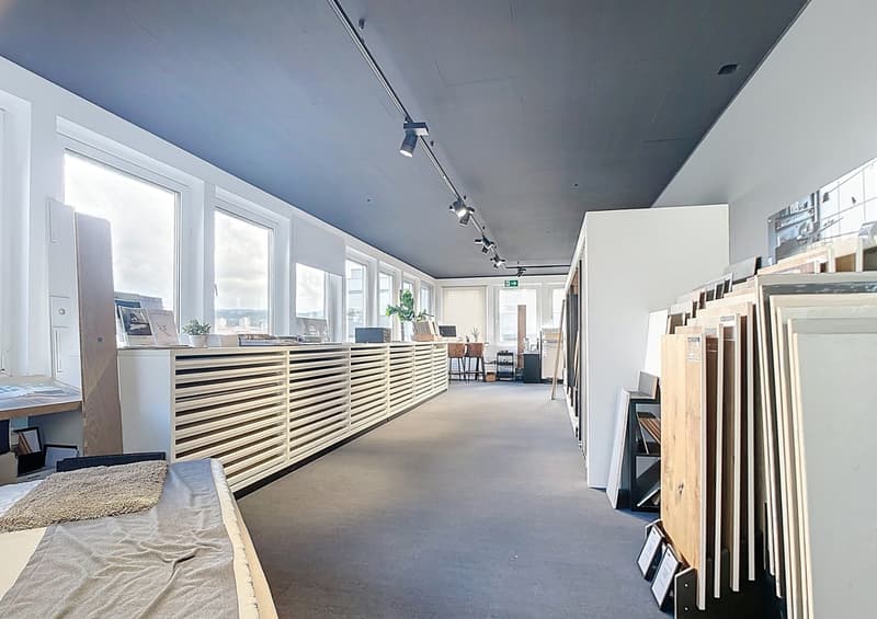Superficie commerciale/ufficio con terrazza (12)