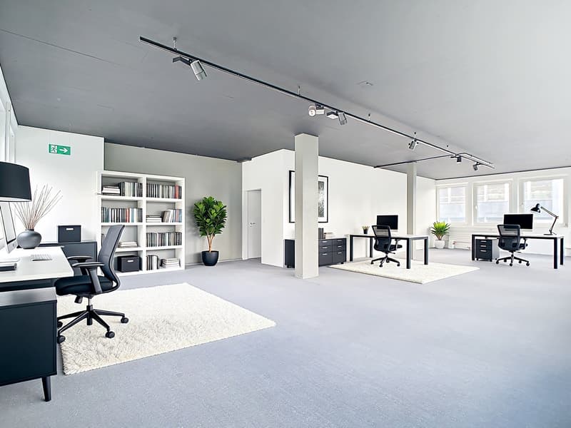 Superficie commerciale/ufficio con terrazza (4)