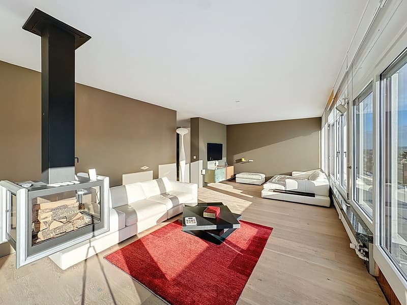 Appartement en attique 5.5 pièces avec terrasse (2)