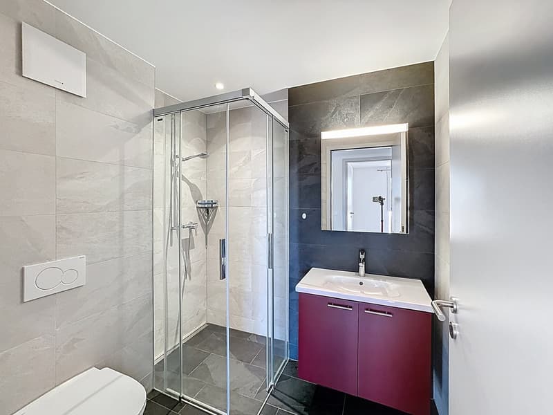 Appartamento in sottotetto di 4.5 locali con grande balcone/terrazza (11)