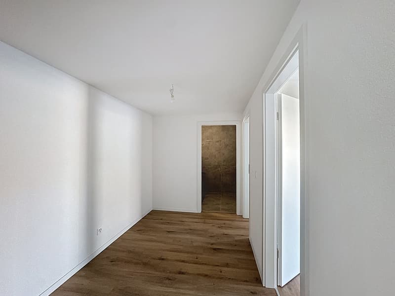 Duplex apartment 4.5 rooms with balcony (13)