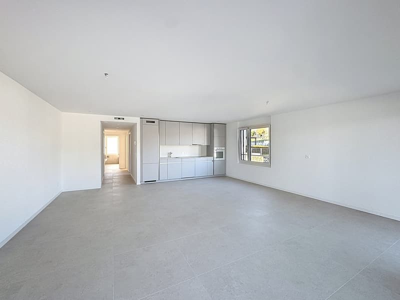 Apartment 4.5 rooms with balcony (8)