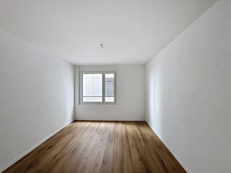 Apartment 4.5 rooms with balcony (13)