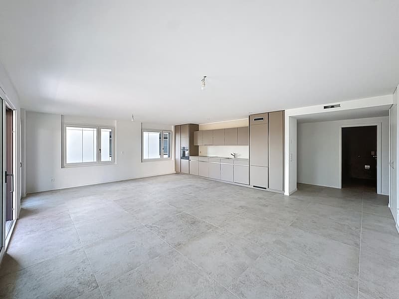 4.5 room apartment with garden (13)
