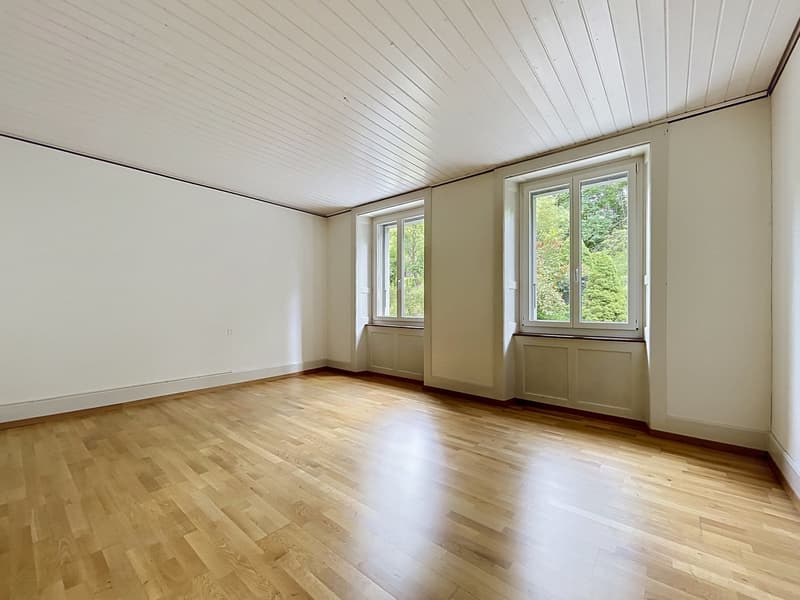 Appartement 4.5 pièces avec terrasse (7)