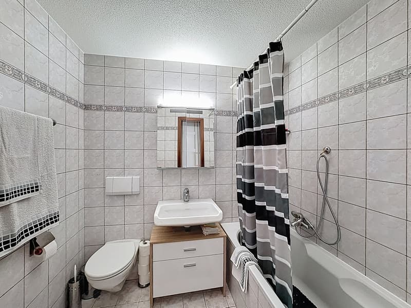 Penthouse apartment with 5.5 rooms, two terraces and two balconies (13)