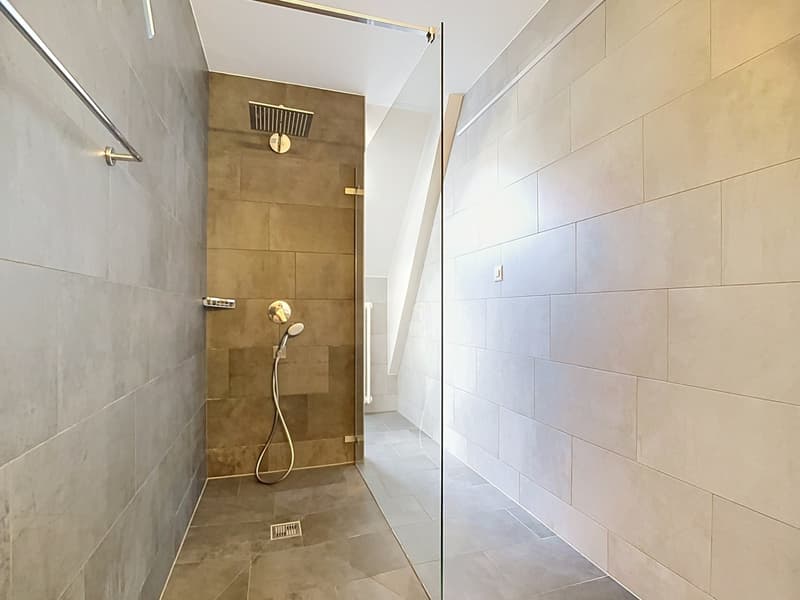 Appartement 3.5 pièces en duplex (13)
