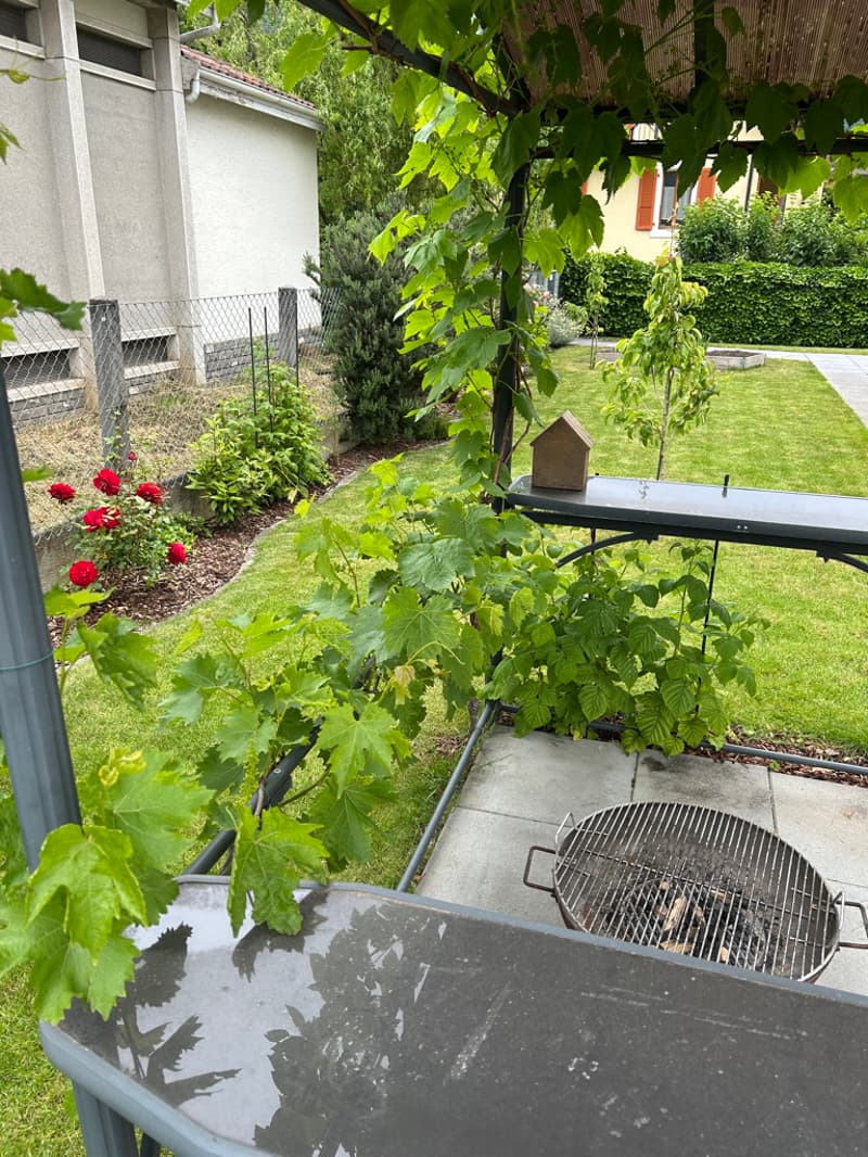 Magnifique maison mitoyenne 8 Pièces avec terrasse et jardin (10)
