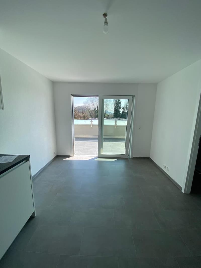 Studio Nuovo in Attico vicino UNIL / EPFL (5)
