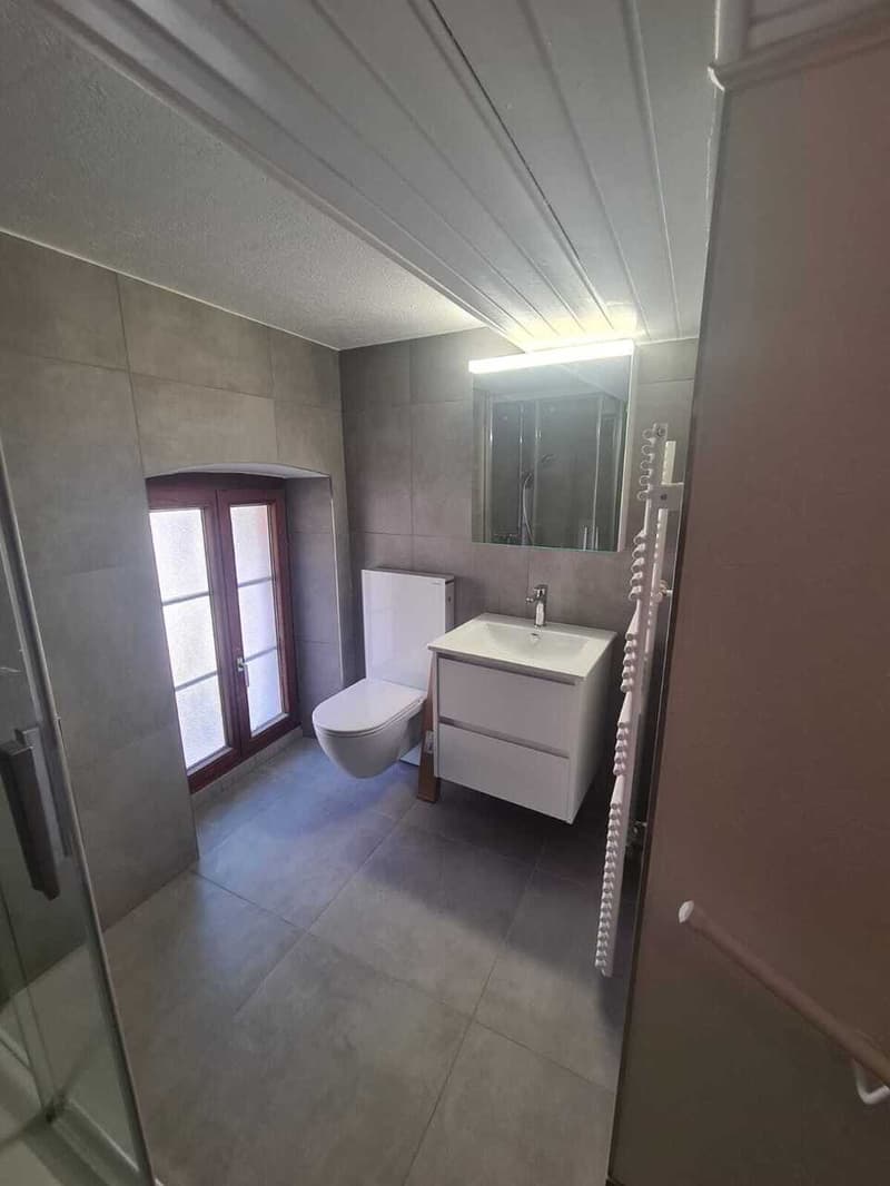 Appartement en duplex de 4.5 pièces entièrement rénové au 1er étage (4)