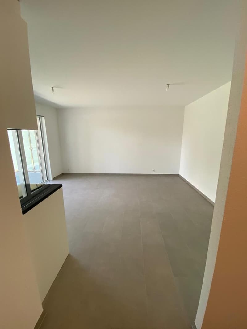 Monolocale nuovo al piano terra con terrazza di 13,5 m2 vicino a EPFL/UNIL (4)
