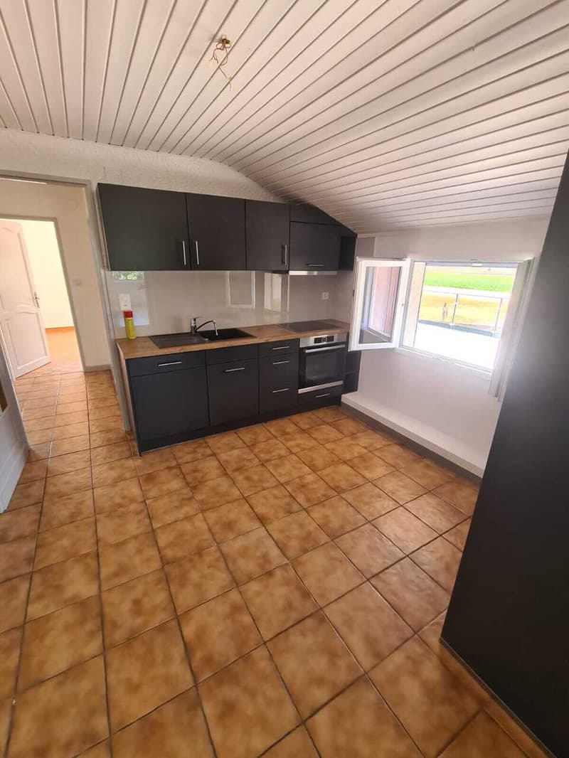 Appartamento con una grande terrazza e vista sulle Dents-du-Midi (6)